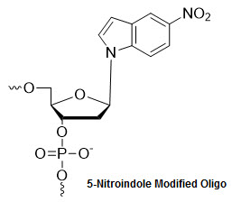 Bio-Synthesis Inc. Oligo Structure